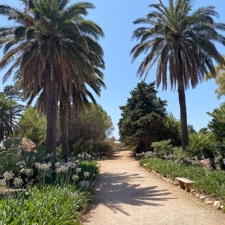 Totolulu Cannes Luxury Properties - La Villa - Villa - 69