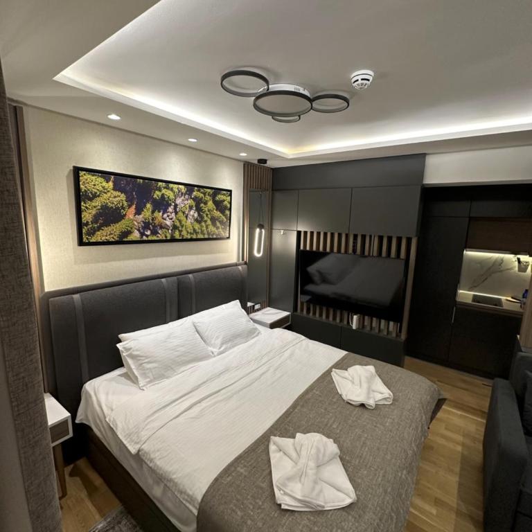 Vila Golija StudiovetKop - Studio Apartment - 3