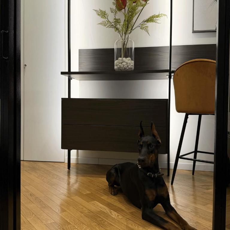 Brera Exclusive near Duomo - Appartamento con 2 Camere da Letto - 29