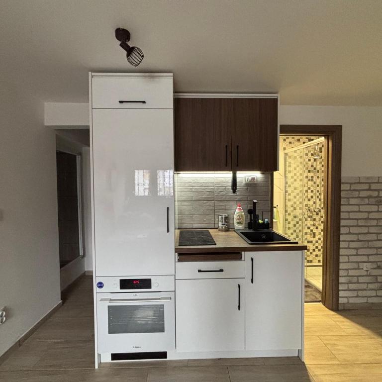 Voždovac Urban Nest - Apartman sa 1 Spavaćom Sobom - 7