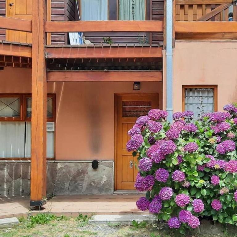 Ramayon Centro - Apartamento de 1 dormitorio - 5