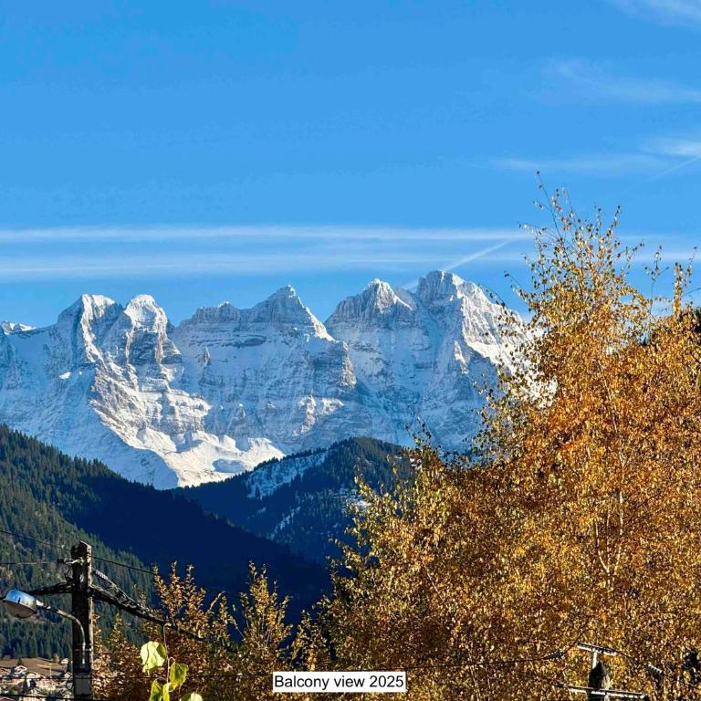 Charming, cosy chalet nestled in a breathtaking surrounding with spectacular, stunning mountain views - Chalet - 7