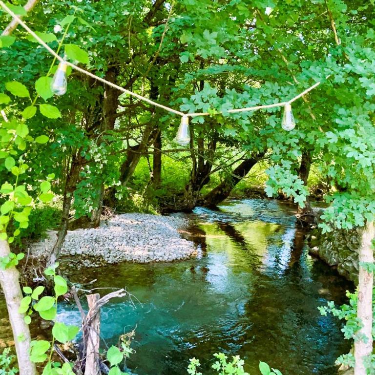 Pine River Dobrenica - Three-Bedroom Chalet - 39