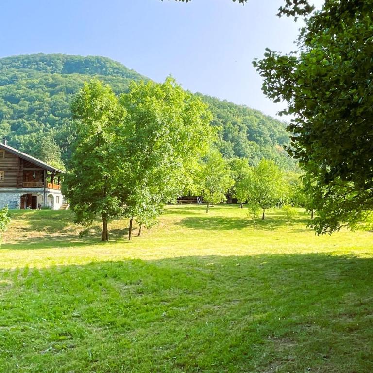 Pine River Dobrenica - Three-Bedroom Chalet - 38