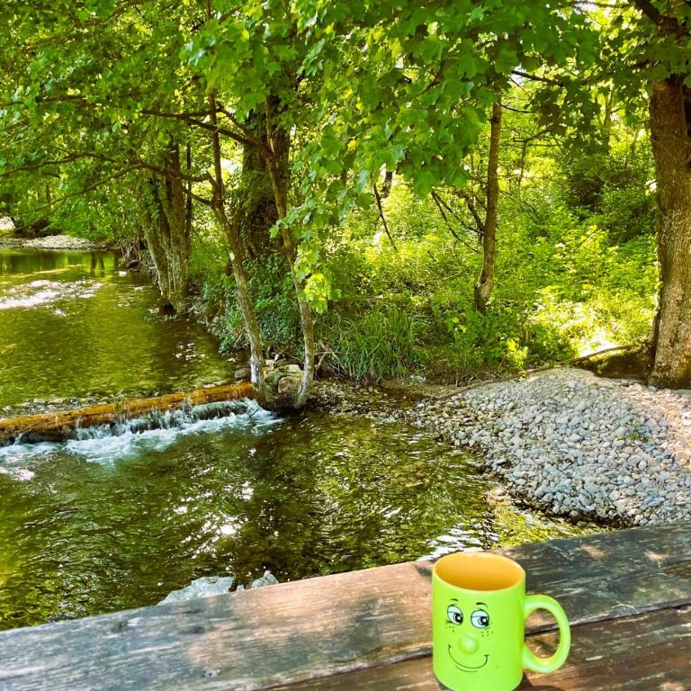 Pine River Dobrenica - Three-Bedroom Chalet - 42