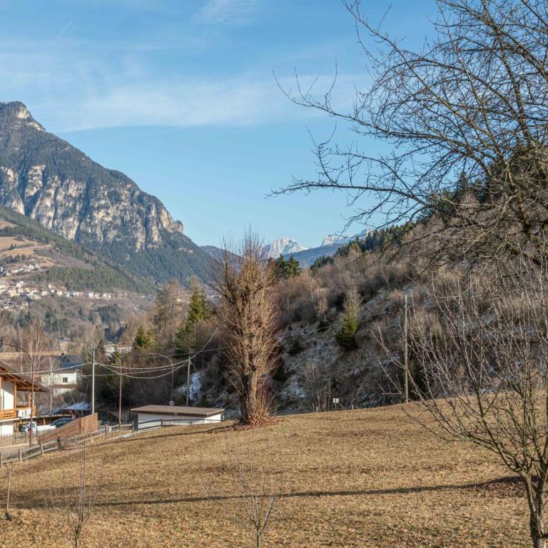 Duplex Cermis - Appartamentino su 2 Livelli - 51