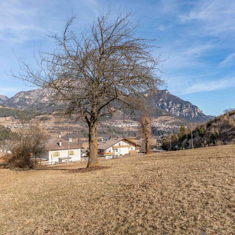Duplex Cermis - Appartamentino su 2 Livelli - 49