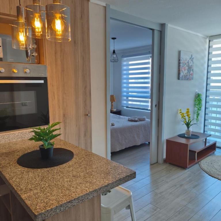 Sensacional Departamento Centro - Mar 1D 1B - One-Bedroom Apartment - 43