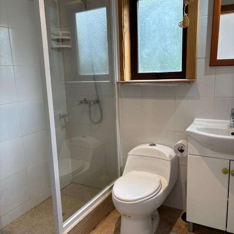 Casa con acceso al lago en Futrono - Vacation Home - 11
