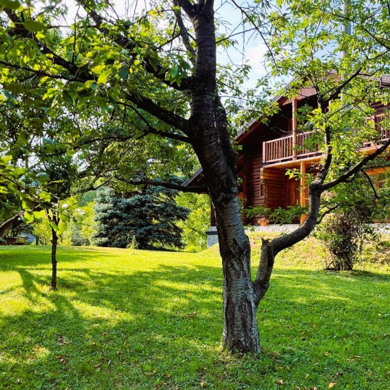 Pine River Dobrenica - Three-Bedroom Chalet - 7