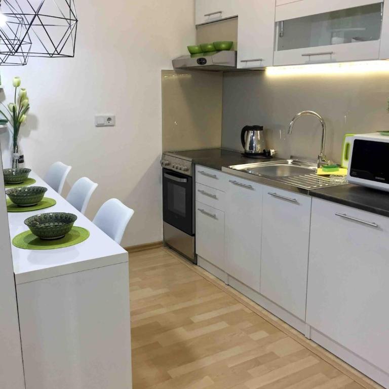 Apt Tesla Absolute Center Heart of the city - Apartman sa 1 Spavaćom Sobom - 13