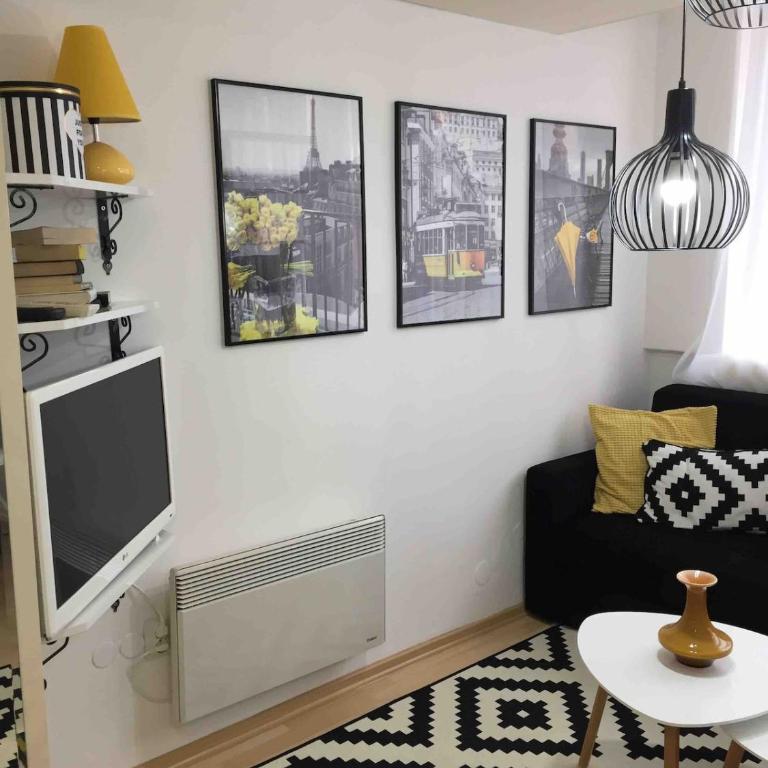 Apt Tesla Absolute Center Heart of the city - Apartman sa 1 Spavaćom Sobom - 33