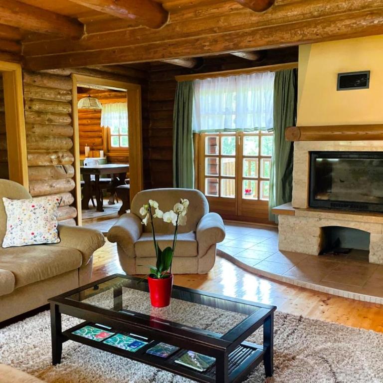 Pine River Dobrenica - Three-Bedroom Chalet - 10