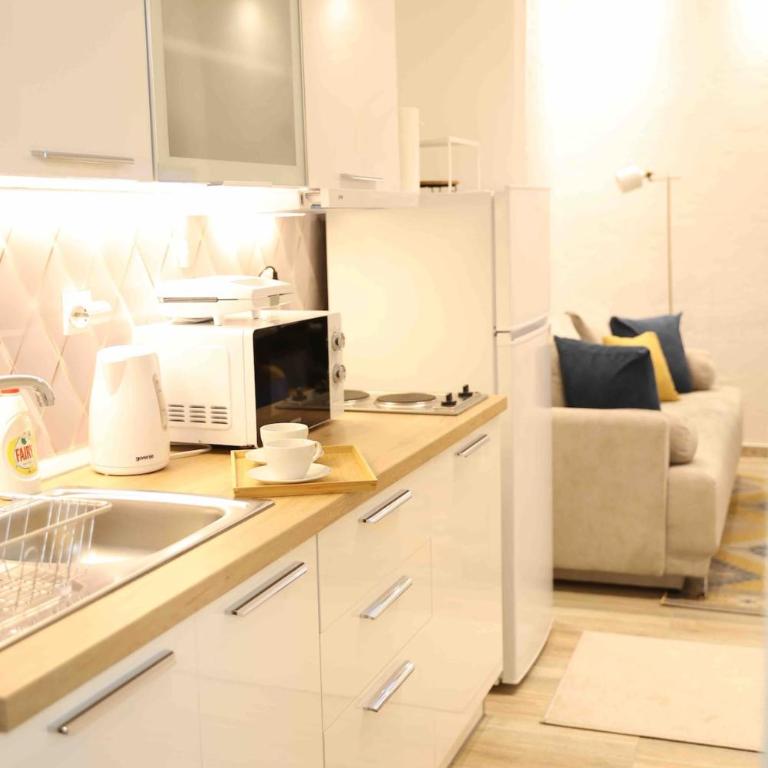 VD City Centre Apartment Belgrade - Apartman sa 1 Spavaćom Sobom - 6