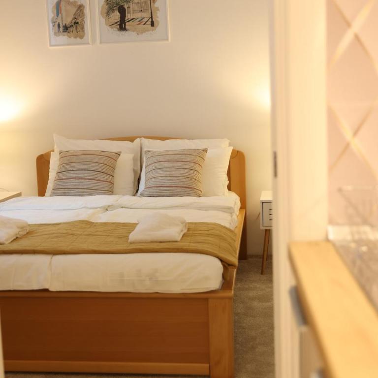VD City Centre Apartment Belgrade - Apartman sa 1 Spavaćom Sobom - 7