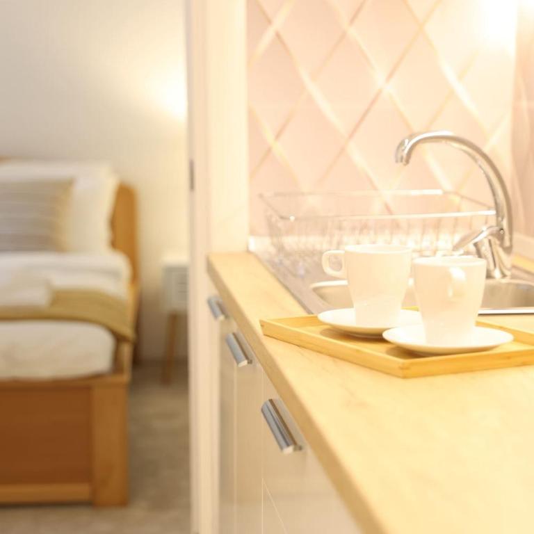 VD City Centre Apartment Belgrade - Apartman sa 1 Spavaćom Sobom - 30