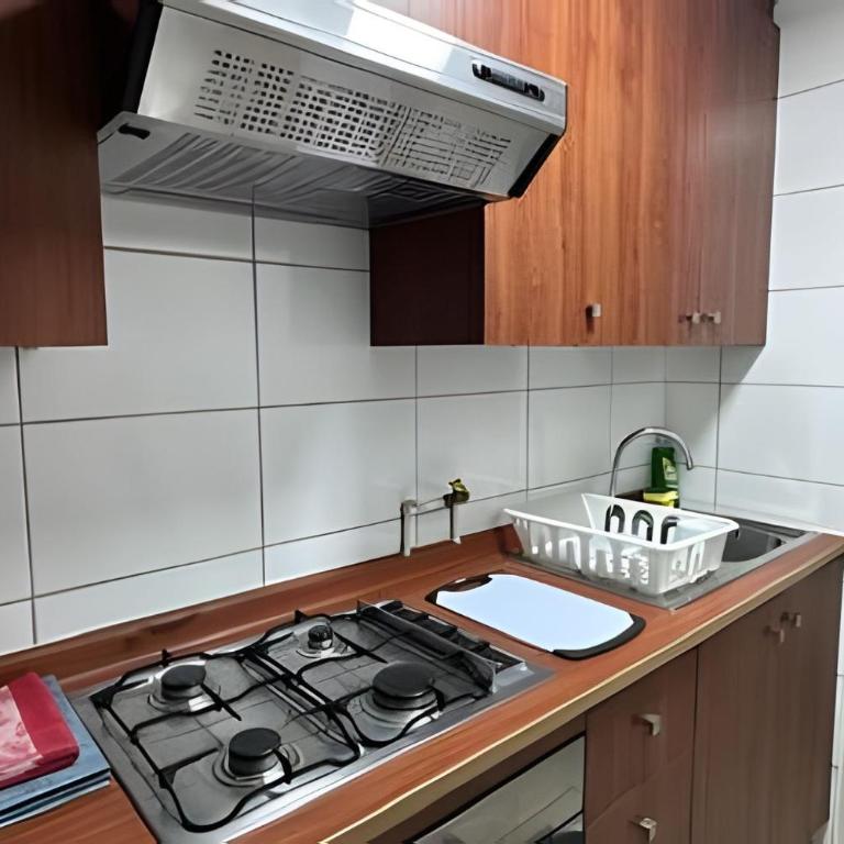 Andino Suites, Departamentos Full equipados en el centro de Santiago. - Two-Bedroom Family Apartment - 22