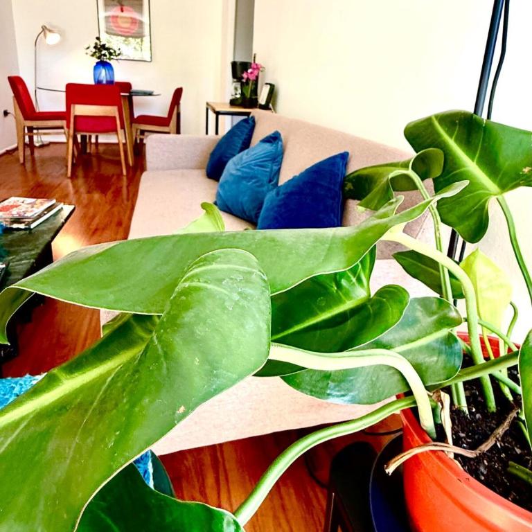 Bright apartment in the heart of Santiago - Two-Bedroom Apartment - 5
