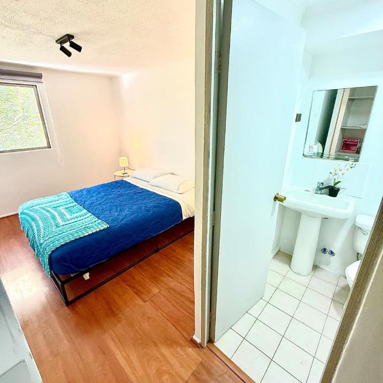 Bright apartment in the heart of Santiago - Two-Bedroom Apartment - 9