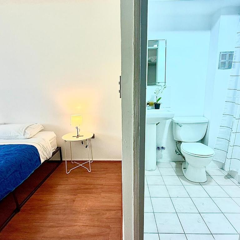 Bright apartment in the heart of Santiago - Two-Bedroom Apartment - 30