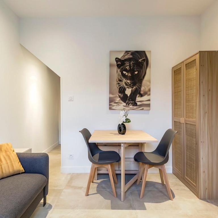 Exceptional Apartment - Terrace 2P Oullins - Appartement 1 Chambre - 8