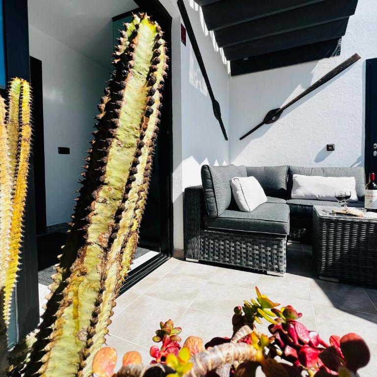 Atlantic Green 3 Apartment, Terrace, Solarium and Spa - One-Bedroom Apartment - 25