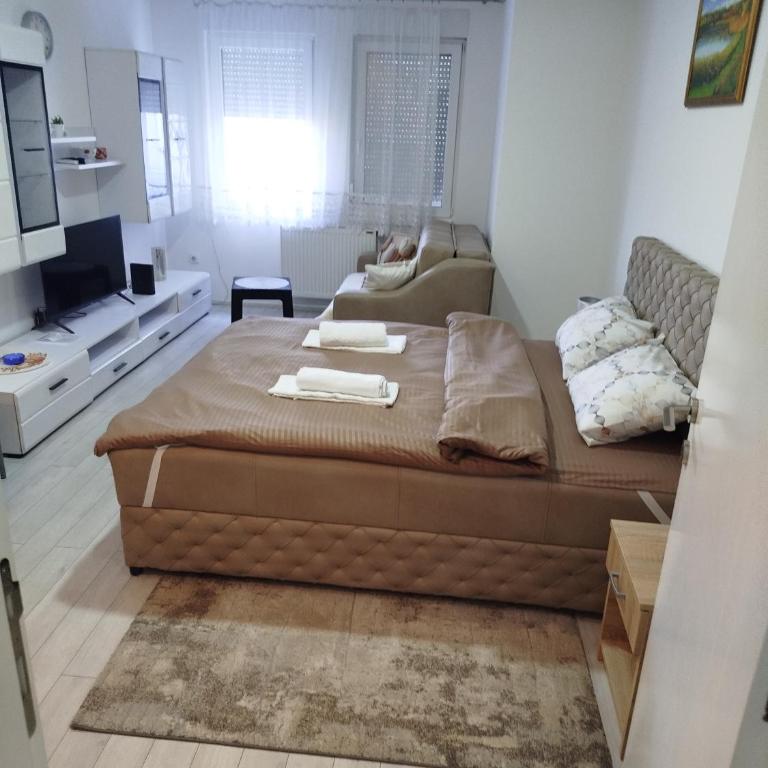 Vea - One-Bedroom Apartment - 8