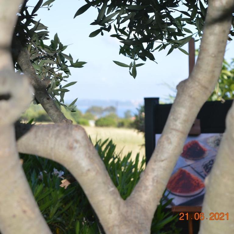 La Suite & Spa BALI - Appartement 1 Chambre - 34