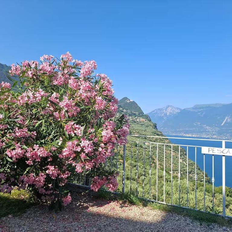 Appartamenti Vacanze Al Frutteto da Lory - Appartamento con Vista Lago - 14