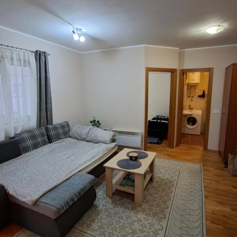 Jelena's place - Apartman sa 1 Spavaćom Sobom - 9