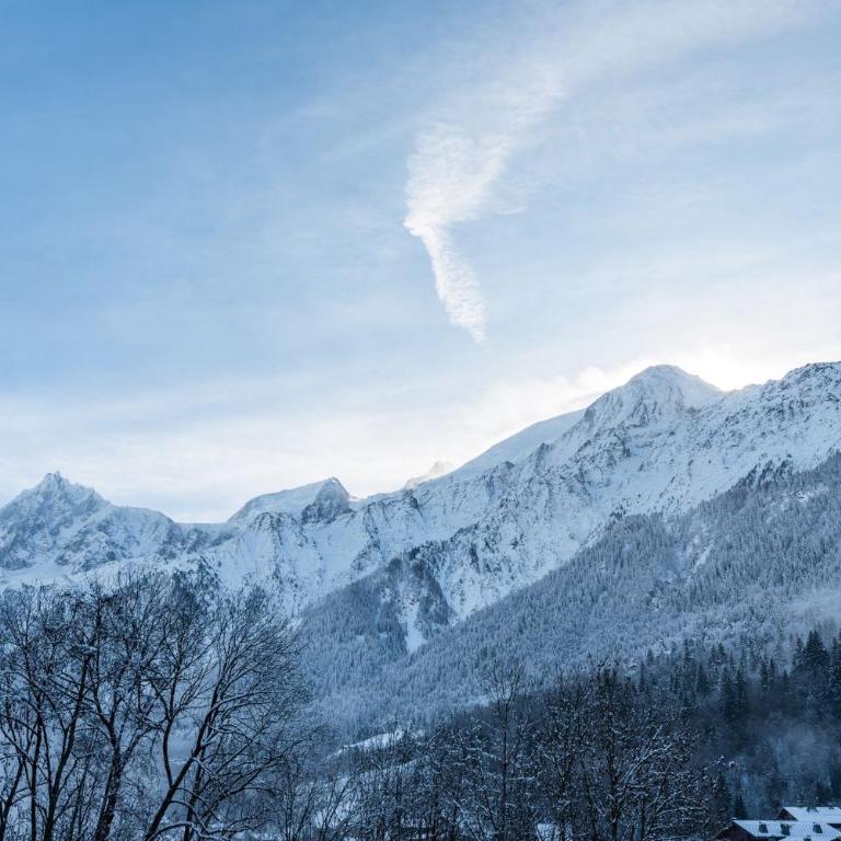Apartment Camox, Les Houches - by EMERALD STAY - Appartement 2 Chambres - 35