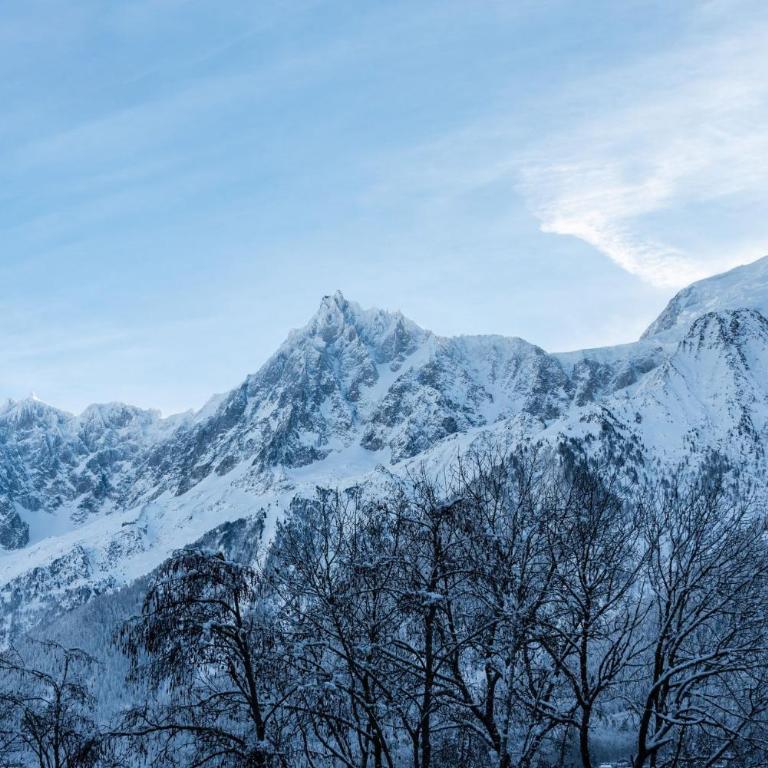 Apartment Camox, Les Houches - by EMERALD STAY - Appartement 2 Chambres - 34