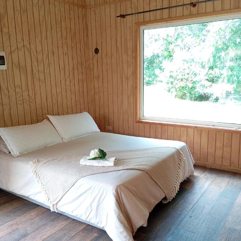 Cabaña Bosque Chucao - One-Bedroom Apartment - 3