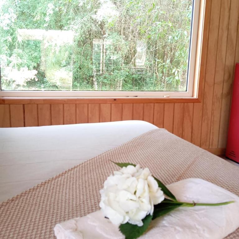 Cabaña Bosque Chucao - One-Bedroom Apartment - 4
