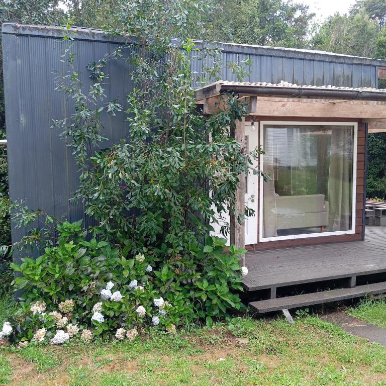 Cabaña Bosque Chucao - One-Bedroom Apartment - 1