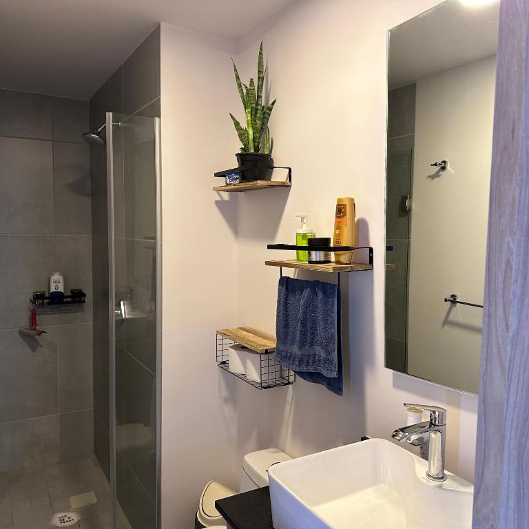 Moderno Loft Primer Cuadro Centro Historico Guadalajara - One-Bedroom Apartment - 7