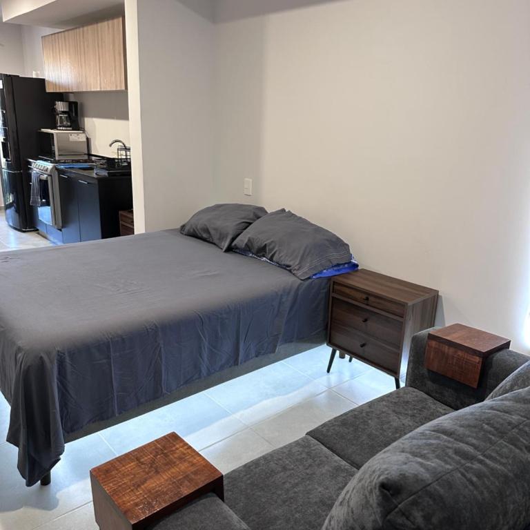Moderno Loft Primer Cuadro Centro Historico Guadalajara - One-Bedroom Apartment - 4