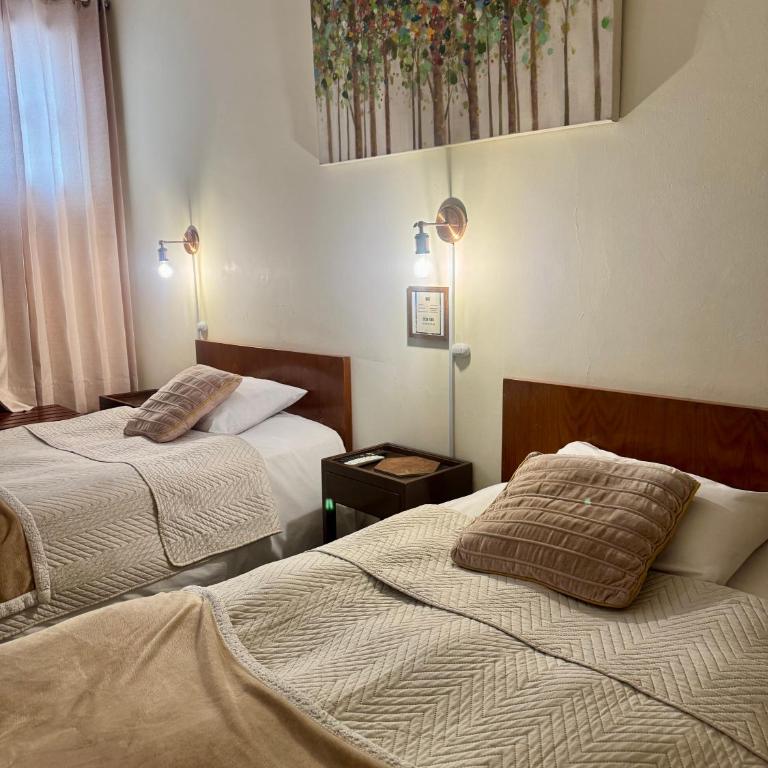 Maison verte - Guest House - Standard Twin Room - 1