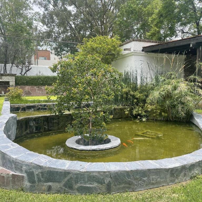 Casa Hormiga - Casa de 3 dormitorios - 24