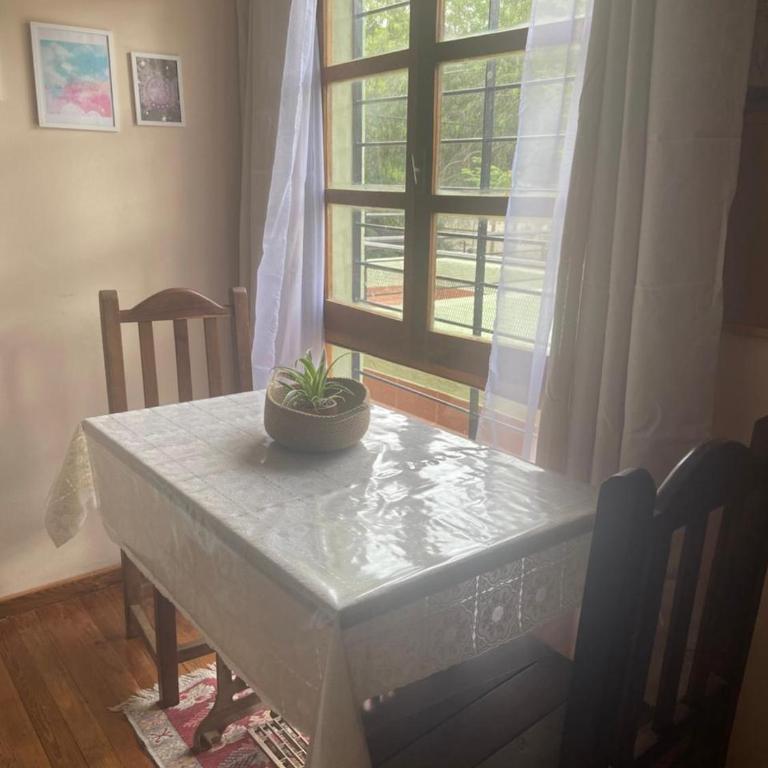 El Peregrino - One-Bedroom Apartment - 22