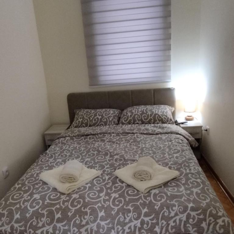 Apartman Ognjen Vrnjacka Banja - Apartman sa 1 Spavaćom Sobom - 7