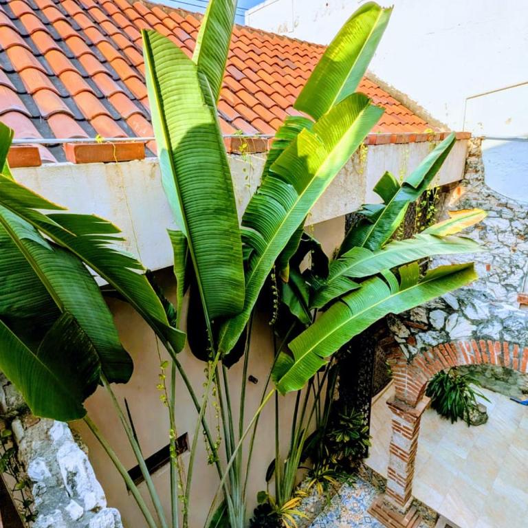 Duplex Colonial Getsemani - One-Bedroom Apartment - 14