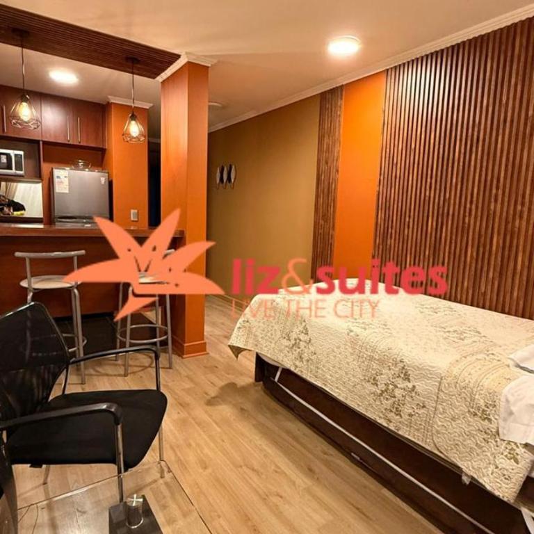 Apartamentos Providencia Suites - One-Bedroom Apartment with Balcony - 5