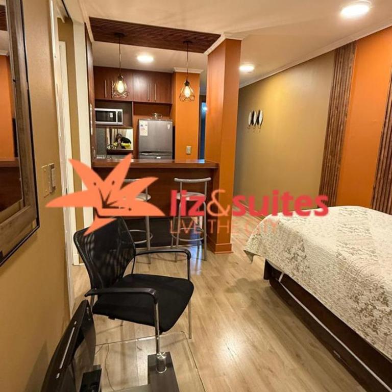 Apartamentos Providencia Suites - One-Bedroom Apartment with Balcony - 6