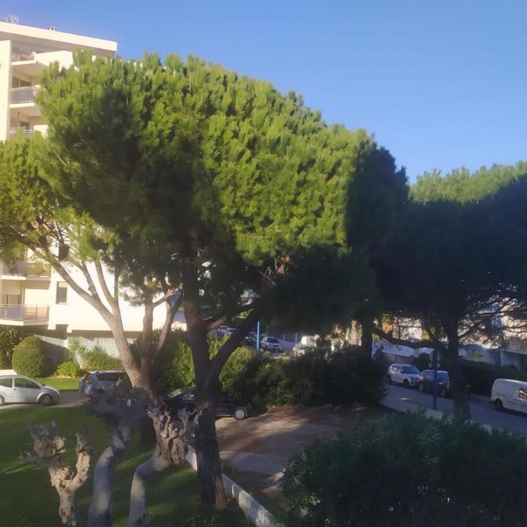 Romance Marine , face à la mer - Apartment mit 1 Schlafzimmer - 39