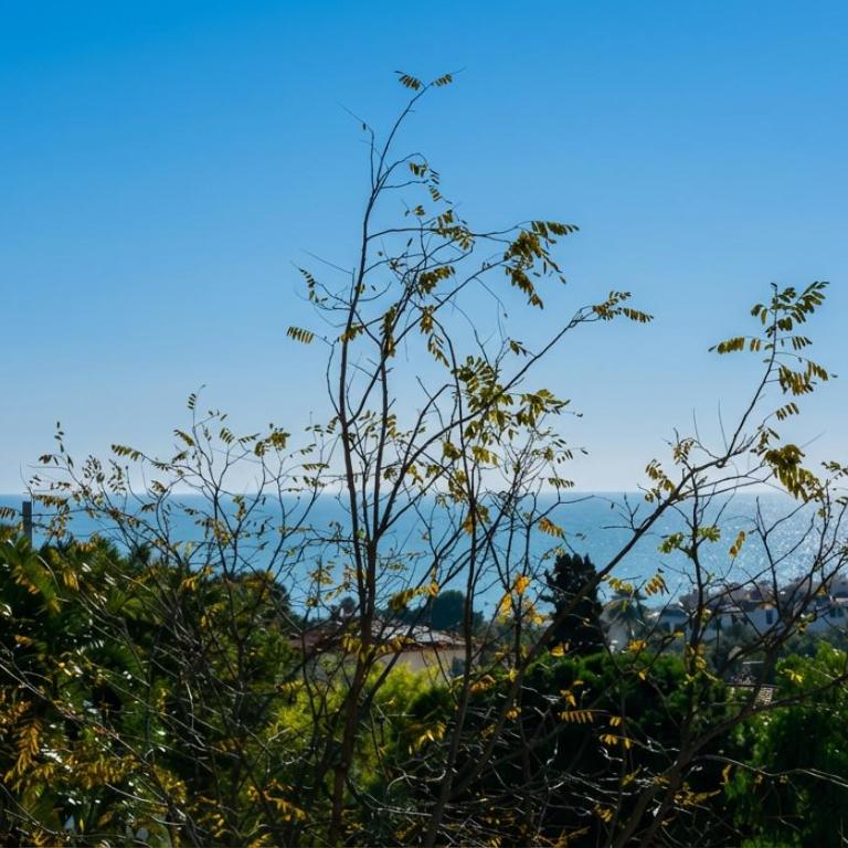 Villa Med A 2 kilometros andando de la playa, del puerto de Aguadoç y a 4 del centro de Sitges Muy Soleada todo el dia Capacidad superior a 16 personas NO REQUIERE COCHE - Villa con vistas al mar - 32