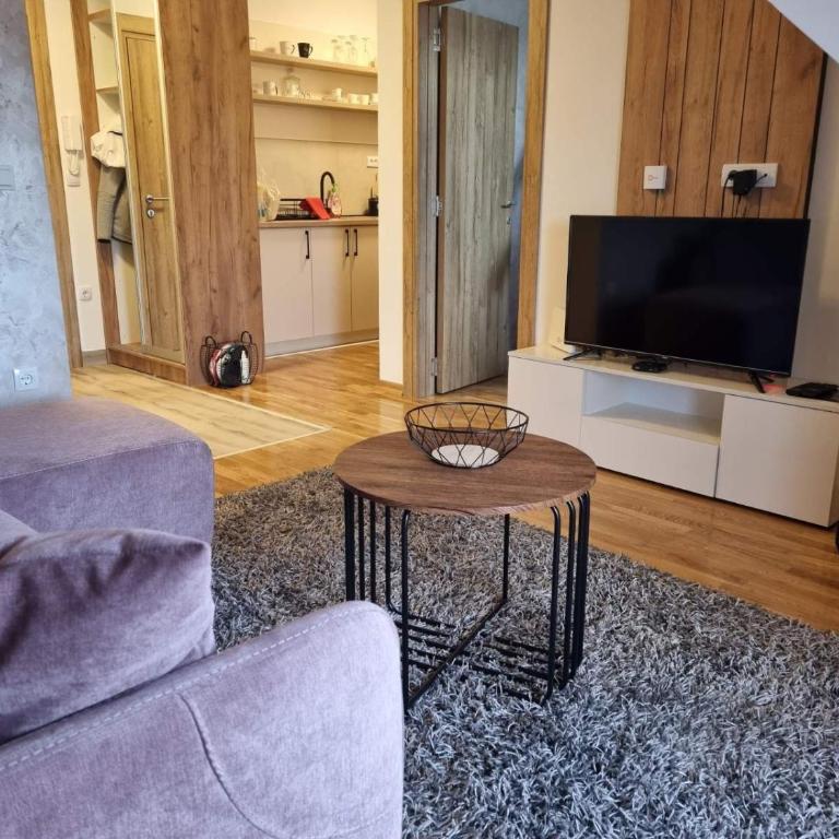 Goga Apartmani - Apartman sa Pogledom na Planinu - 8