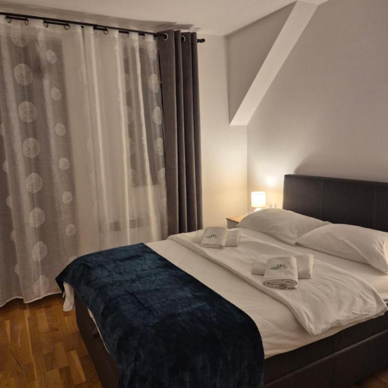 Goga Apartmani - Apartman sa Pogledom na Planinu - 6