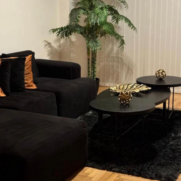Departamentos del Sur - Three-Bedroom Apartment - 2