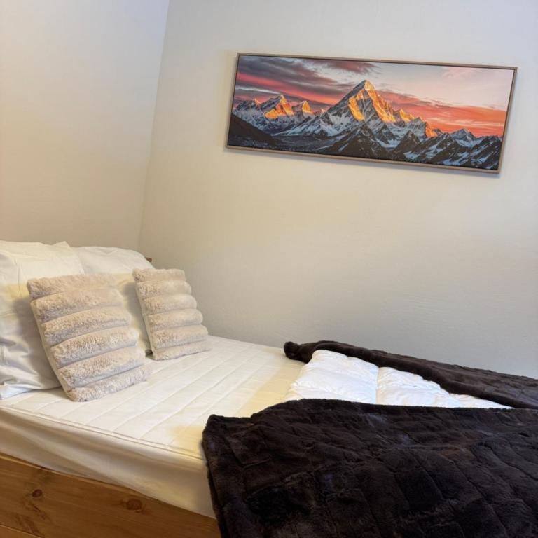 La Cime de Chatel - Appartement 2 Chambres - 11